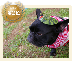 第2位