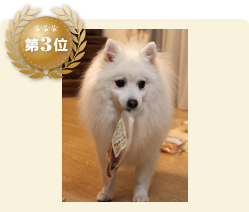 第3位