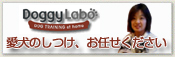 �L��