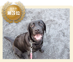 ��3��